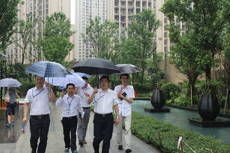 新思路裝飾“6.20工地大巡查”紀實(shí)